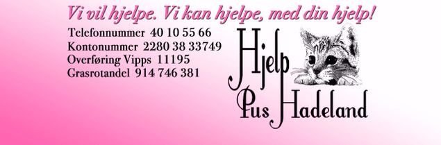 Vi måtte gå bort i fra den rosa poten da det var noen som mente de hadde patent på den. Men i stedet har vi fått en mye finere logo som vi er veldig stolte av.
Denne logoen vi har fått nå er laget spesielt til oss av Oskar Nybråten Tusen takk for den fantastisk logo du har tegnet til oss