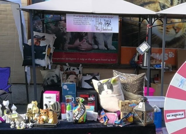 Vi deltok på Lørdag under potetfestivalen og fikk inn hele 6412,- på standen. Tusen takk til alle som var med å hjalp til og takk til alle dere som støttes oss.